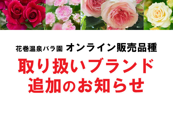 花巻温泉バラ園オンライン取り扱いブランド追加のお知らせ