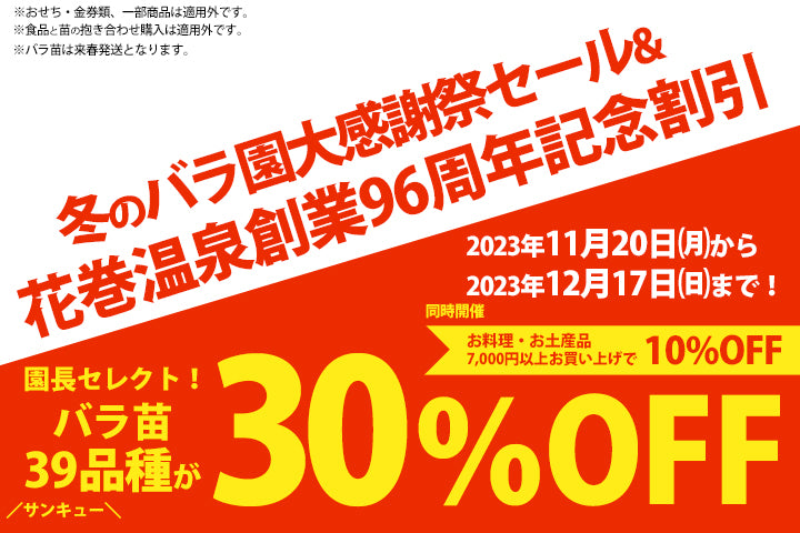 【終了】冬のバラ園大感謝セール&花巻温泉 創業96周年記念割引キャンペーンを開催!
