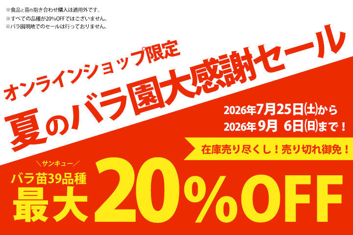 【オンライン限定】 花巻温泉バラ園 夏のバラ園大感謝セール【39品種】