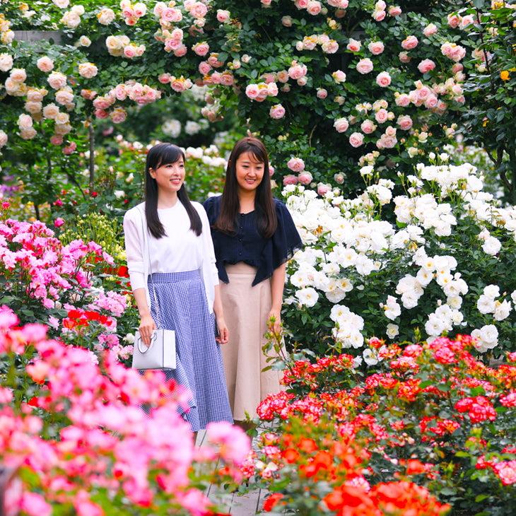 【限定150枚】花巻温泉バラ園 年間入園パスポート2025